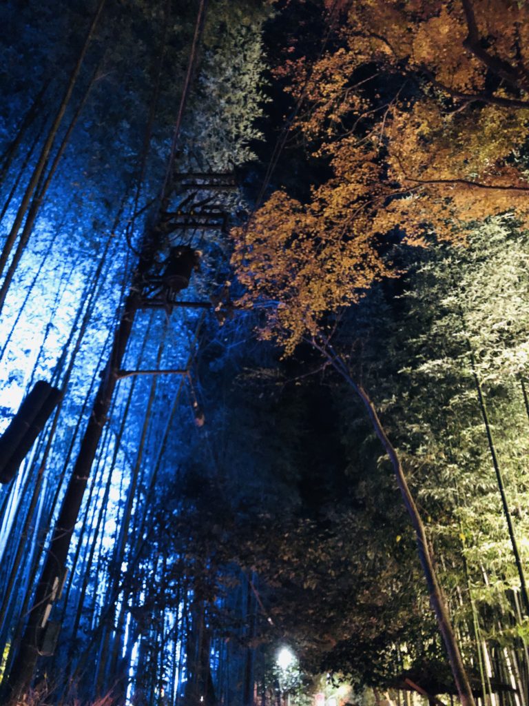 嵐山ライトアップイメージ