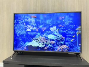 もしテレビが壊れたら買い直しはしないと思う