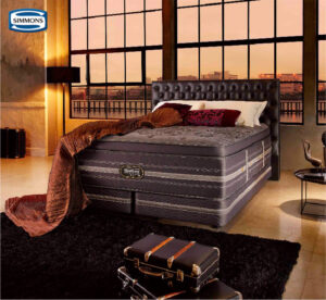 【三大欲求】ミニマリストなのに珍しく本気で欲しいものができた