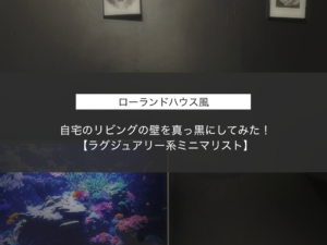 【ローランドハウス風】自宅のリビングの壁を真っ黒にしてみた！【ラグジュアリー系ミニマリスト】