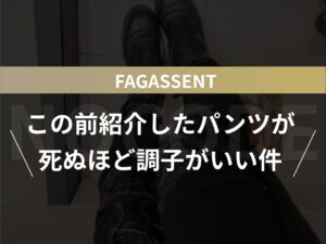 【FAGASSENT】この前紹介したパンツが死ぬほど調子がいい件