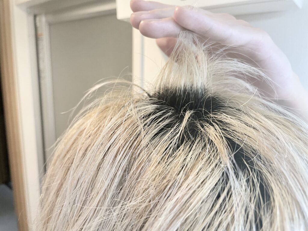 【比較】アルバージュブリーチの効果は一体どれほどのものか【カラーファンタジー】