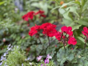 【見なくてOK】20代終了が近づいてきたので自分の振り返り