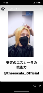 ブリーチを10年以上続けているハイダメージの私が気を付けていること