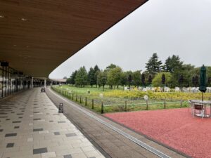 【テラスハウス観光】30代独身男性が軽井沢へ一人旅をしてみた【2泊3日】