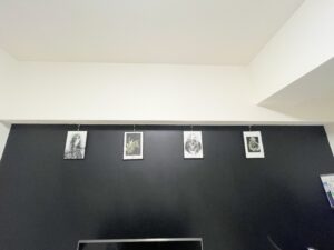 【ミニマリスト】最近の私の部屋事情について【写真大量】