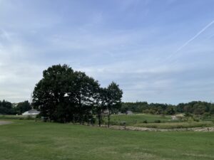 「お金を使う趣味がないとモチベーションにならないよね」と投資家と語り合った話