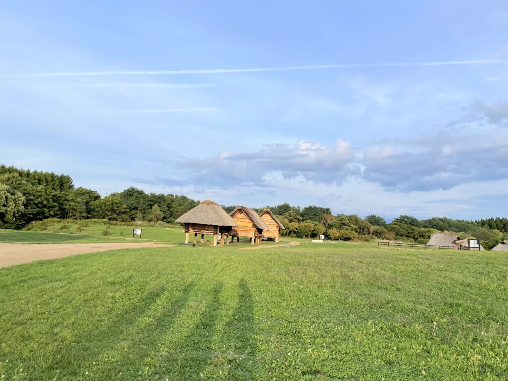 【ぶっ飛んでるかも】30代独身ミニマリストのお金の価値観とは？