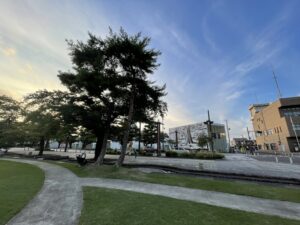 【やめることを決める】毎月確実に7000円を増やすために行ったこと【やらないことリスト】