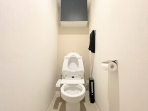 【ミニマリストのトイレ掃除は一体どうしてる？】一人暮らし10年目の自分はこれ！