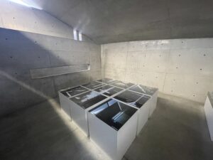 【ミニマリスト】何かを持つなら街中にあるものを借りればより身軽になる