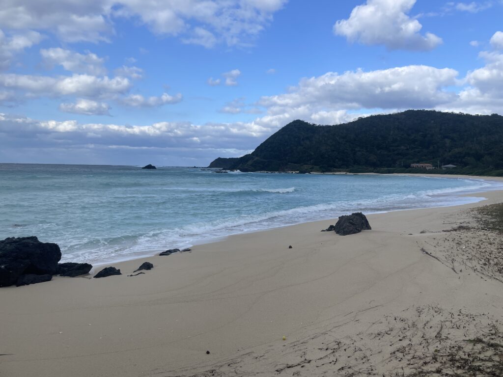 【2024年】今年続けてよかったものとやめてよかったもの