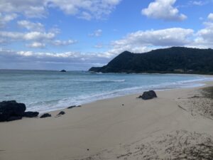 【2024年】今年続けてよかったものとやめてよかったもの