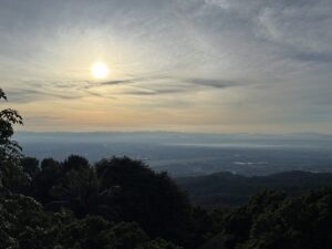 【コラム】Nagi Rhythm 2025年を振り返ってみる【読まなくてOK】