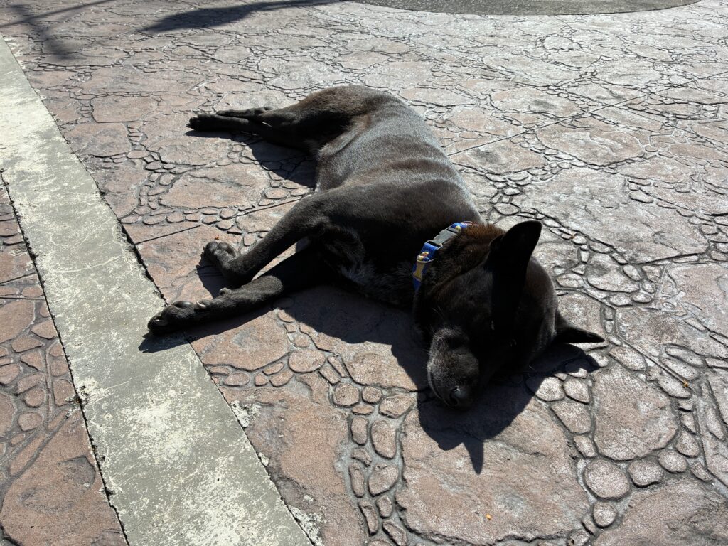 【月刊Nagi Rhythm12月号】恐るべし時のスピードと金のかかる趣味が欲しくなる