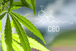 【レビュー】国内で買えるCBD/CBNリキッド5選まとめ【実際に筆者が試した】